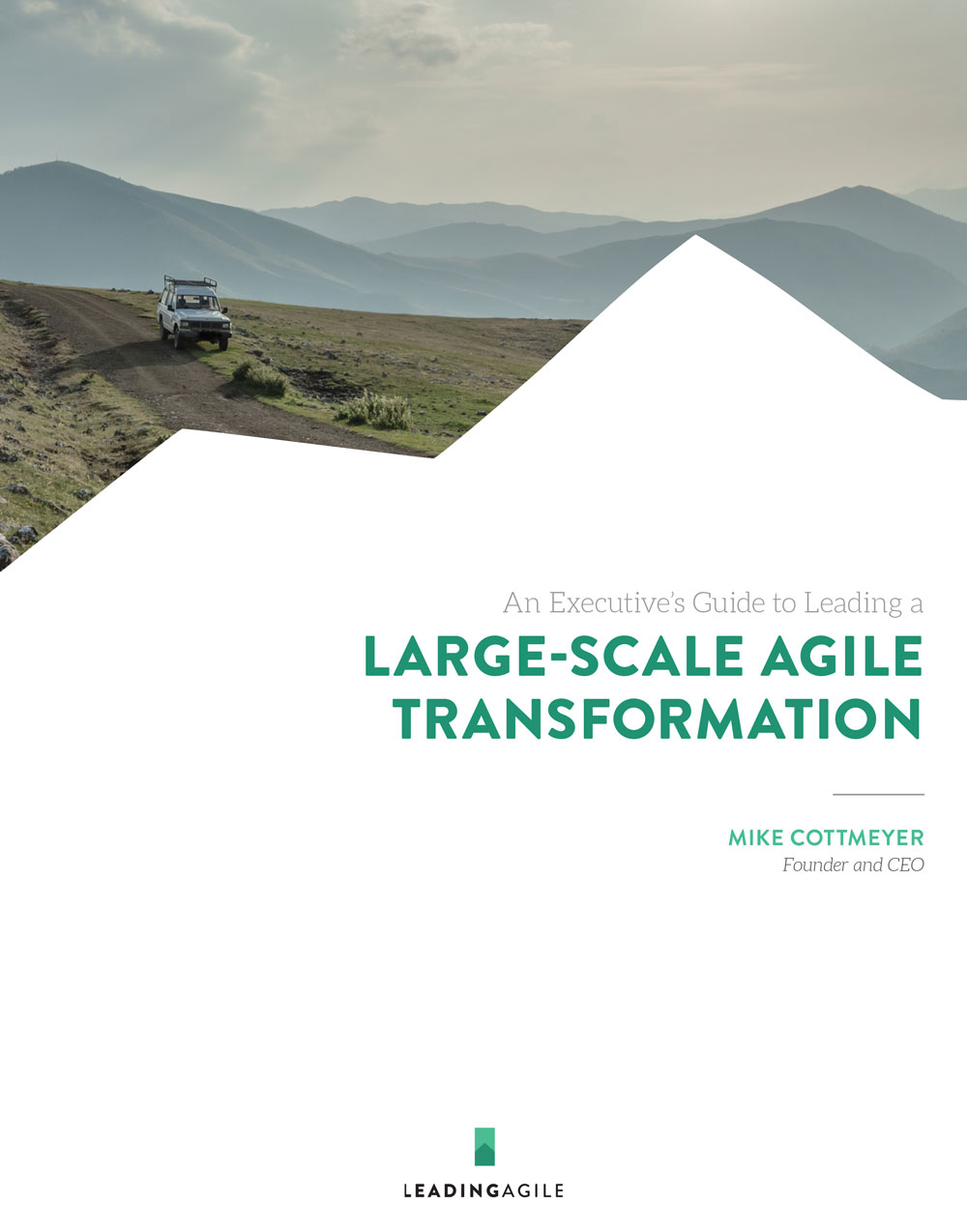 Executive's Guide To Leading Large Scale Agile Transformation ...